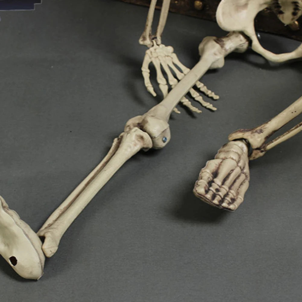 Halloween Horror Skeleton Statue Movable/Posable Joints Scary Skull Ornament Halloween Theme for Yard Garden Patio Haunted House