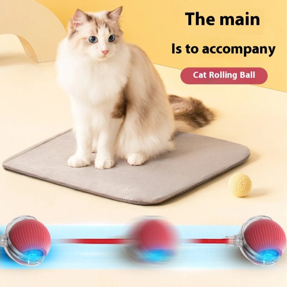 Interactive Dog Cat Toy Ball, Automatic Moving Bouncing Rolling, Pet Smart Chase Ball Rechargeable, Enrichment Toys