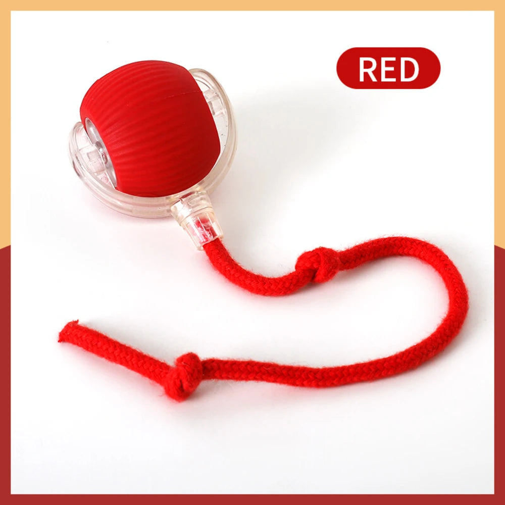 Interactive Dog Cat Toy Ball, Automatic Moving Bouncing Rolling, Pet Smart Chase Ball Rechargeable, Enrichment Toys