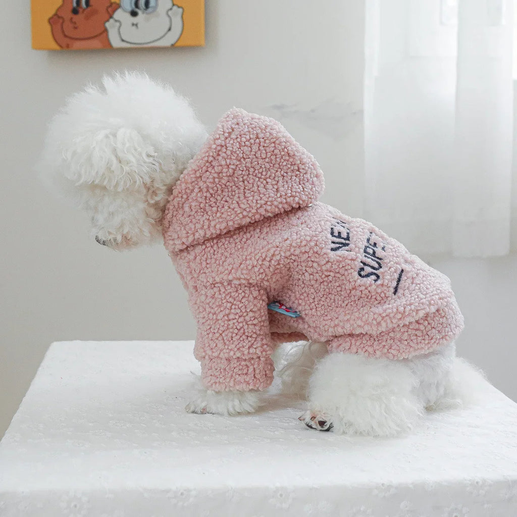 Autumn and Winter Pet Lamb Fleece Hooded Jacket Puppy and Cat Clothes New Models Thick and Warm Letter Hoodie Pet Clothes