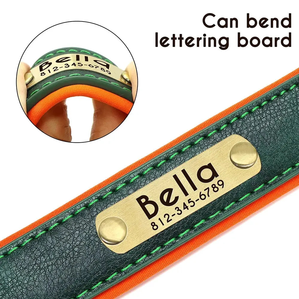 Personalized Customized Leather ID Nameplate Dog Collar Soft Padded