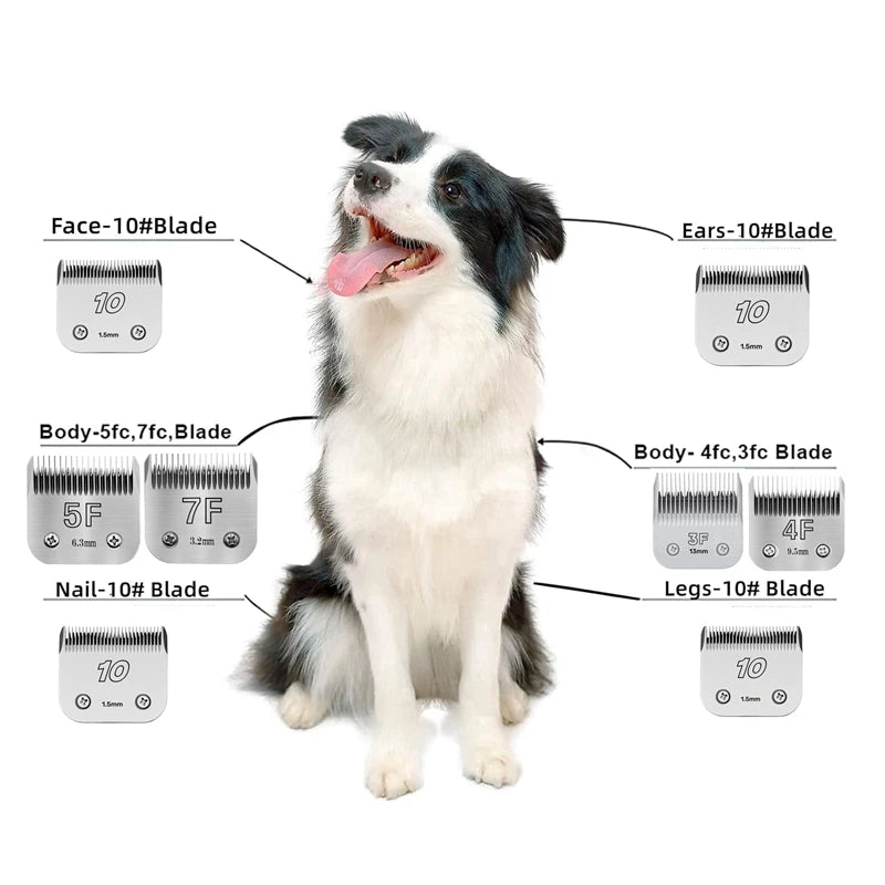 Professional Pet Dog Grooming Detachable Steel Blade Compatible with most Andis ,Oster A5 & 76,Wahl KM 10 Series Animal Clipper