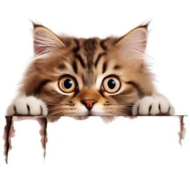 Cat Peeping Wall Stickers Living Room Children Bedroom Home Decoration DIY Cartoon Animal Wallpaper Removable Vinyl Decals