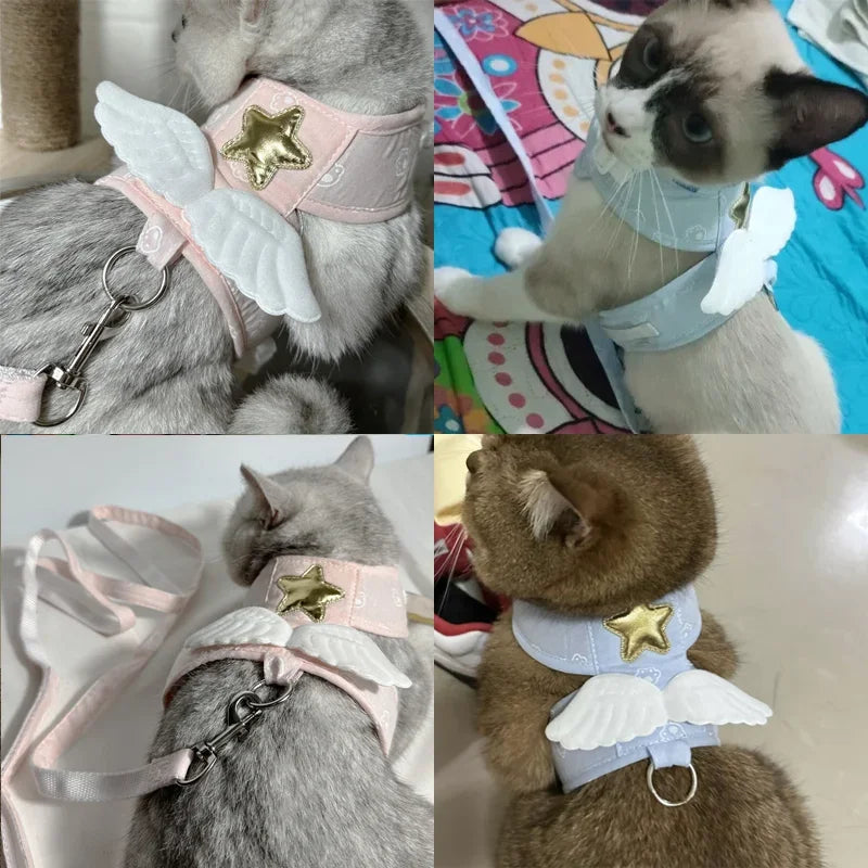 Angel Wing Pet Harness With Leash