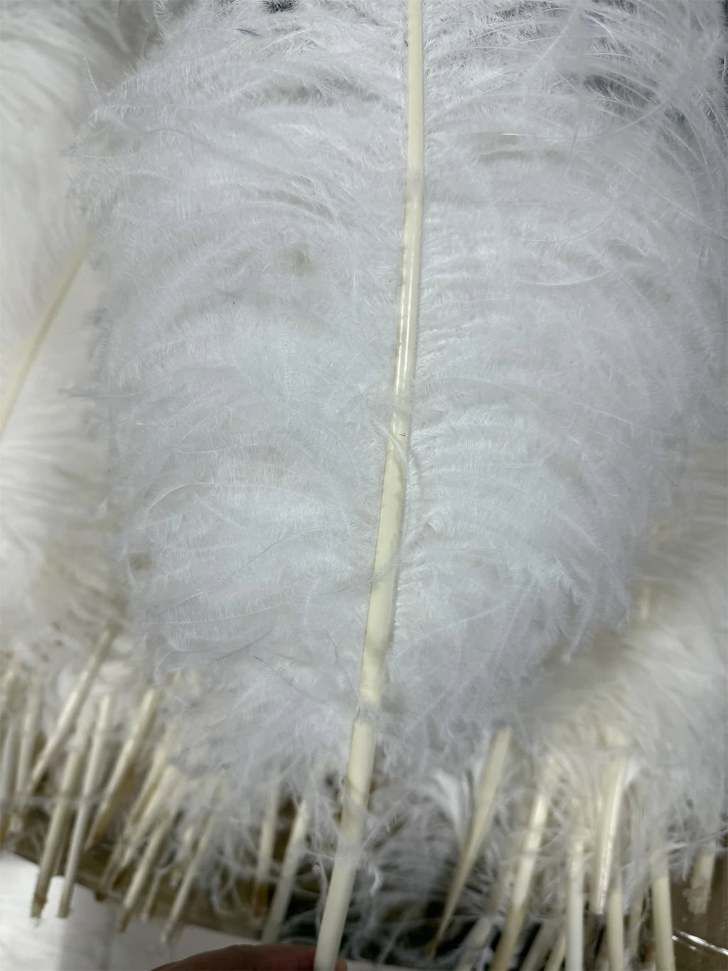 10PCS/Lot White Ostrich Feathers Plume for Wedding Table Centerpieces Carnival Prime Decor  45-50CM 55-60CM Ostrich Plumas Large