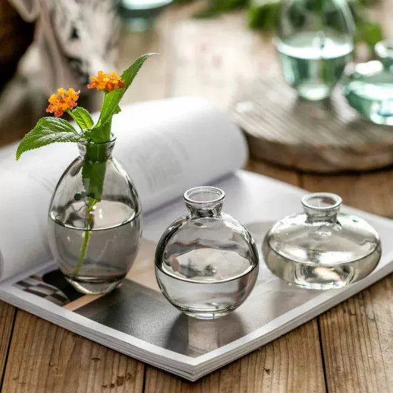Transparent Glass Vase Avocado Seed Starters Vase Seed Growing Kit Avocado Vase For Growing Gift For Gardening Lovers Home Decor