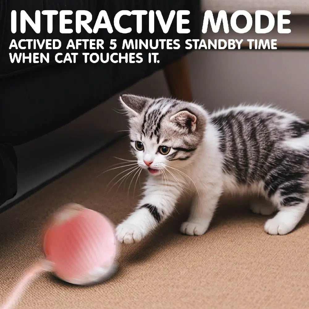Interactive Dog Cat Toy Ball, Automatic Moving Bouncing Rolling, Pet Smart Chase Ball Rechargeable, Enrichment Toys