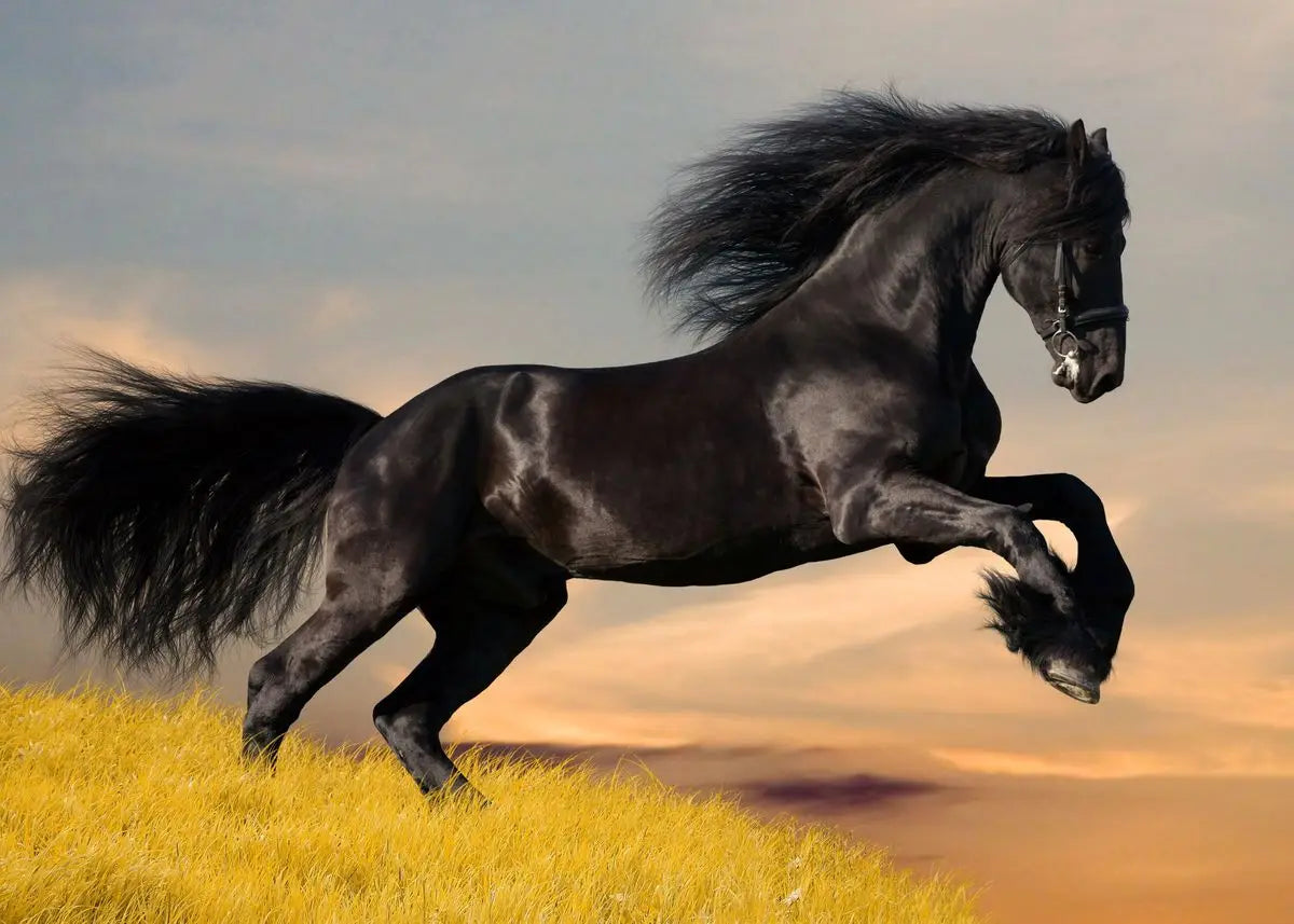 Handsome Horse Watercolor Painting Canvas Poster Animals Wall Art Pictures for Living Room Bedroom Playroom Modern Home Decor