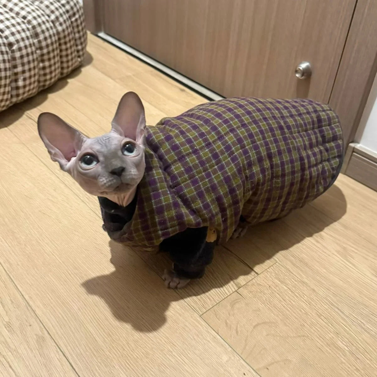 Winter Green Plaid Suit for Cats Thick Fleece Vest Warm Long Sleeves Undercoat for Hairless Cat Spring Sweatshirt for Sphynx