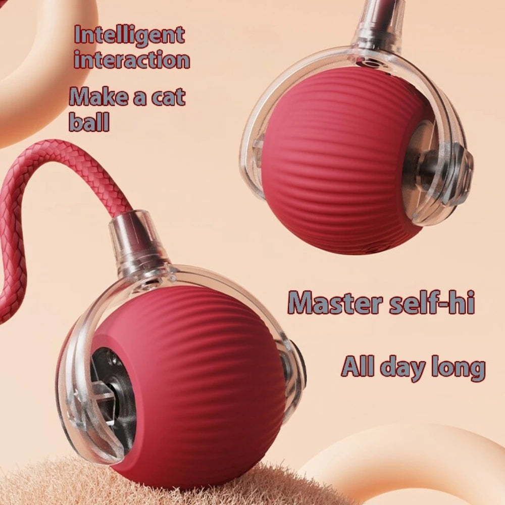 Interactive Dog Cat Toy Ball, Automatic Moving Bouncing Rolling, Pet Smart Chase Ball Rechargeable, Enrichment Toys