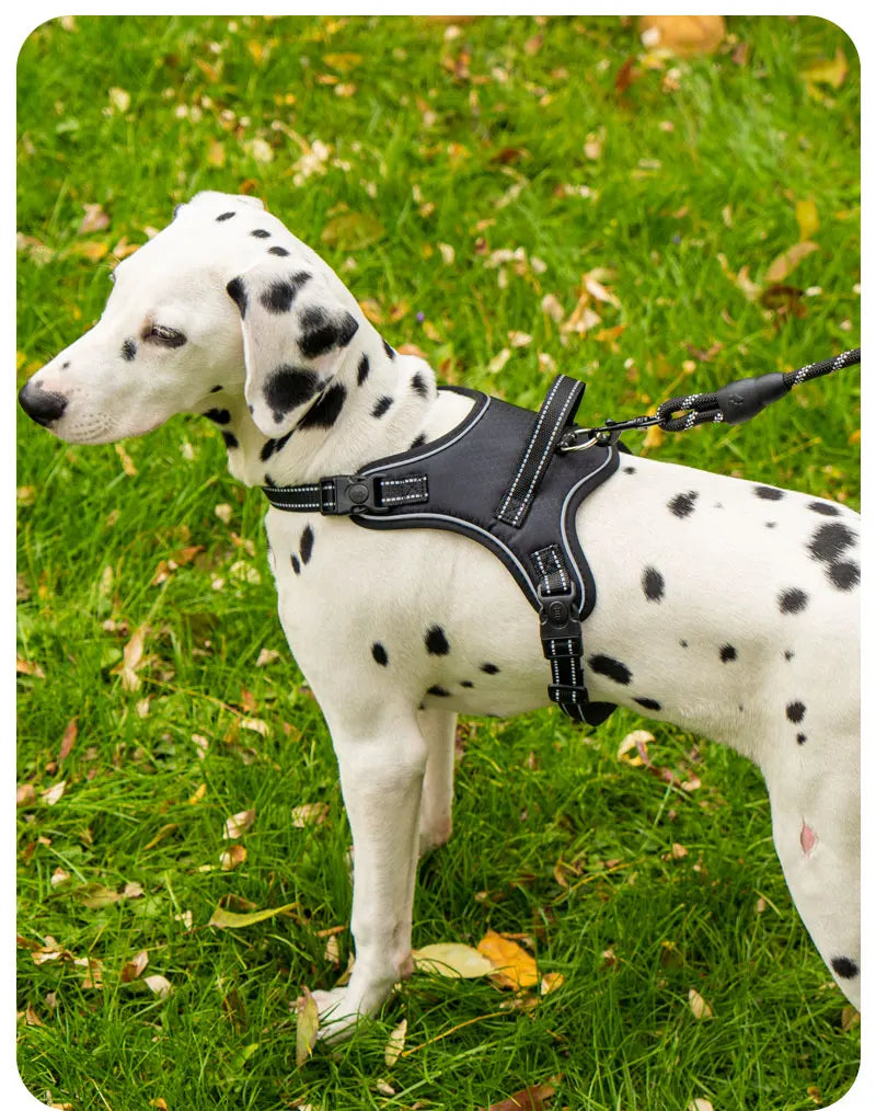 Dog Harness Pet Saddle Quick Wear Structure Protection Ultra Light Chest Strap Safety Anti Break Explosion Proof Dog Vest