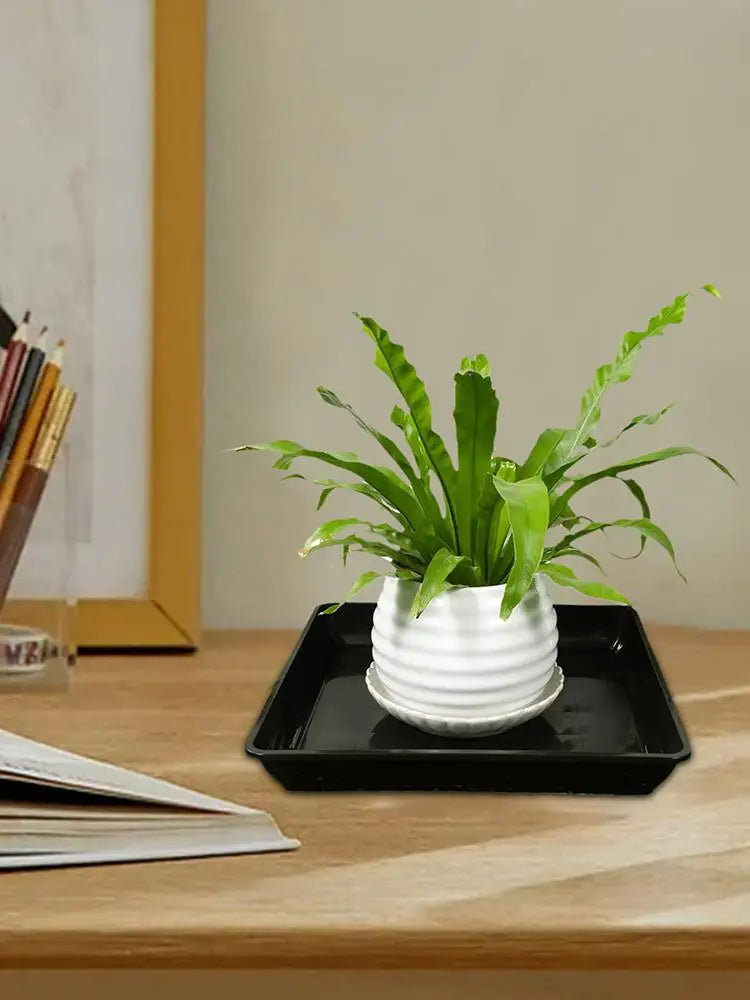 Plant Saucer Square Durable Flower Pot Indoor Outdoor Heavy Duty Tray Square Flowerpot Water Dish Home Decor for Gardening