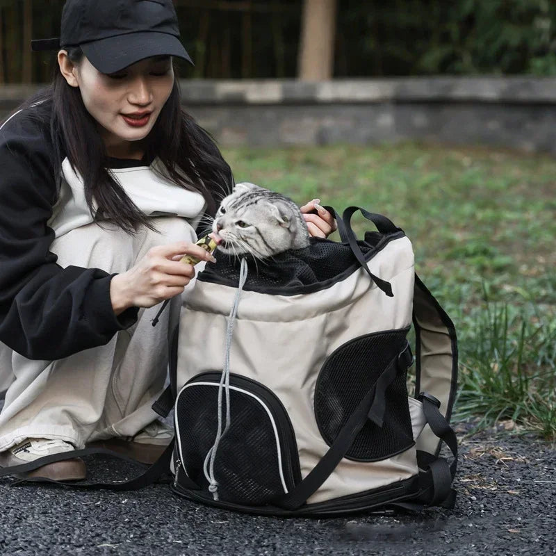 Solid Color Large Capacity Lightweight Cat Bag Go Out Portable Pet Bag Carrier Breathable Oxford Cloth Portable Pet Backpack