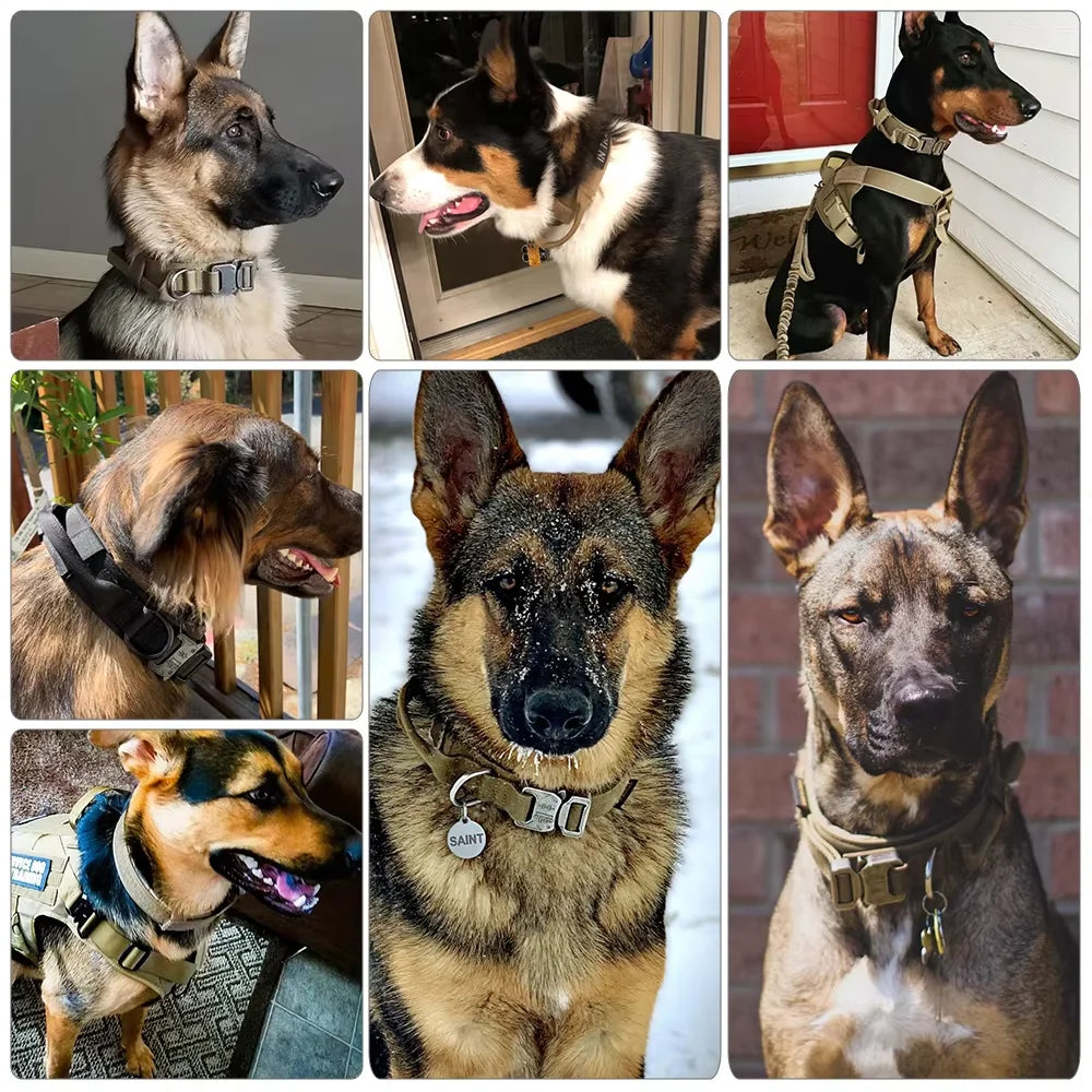 Dog Training Collar Adjustable Tactical Dog Collar and Leash