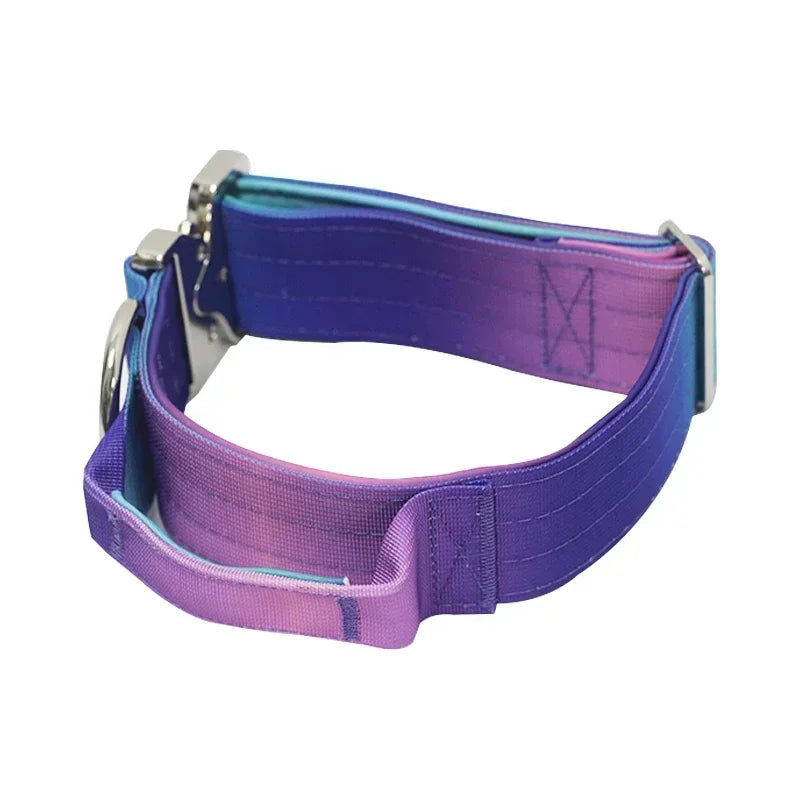 New 5mm Wide Pet Collar Gradual Change Color Traction Set Adjustable Nylon Dog Collar Supplies Medium and Large Dog Accessories