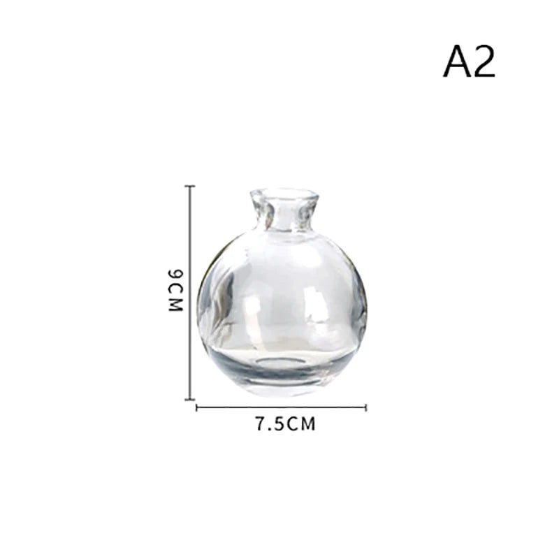 Transparent Glass Vase Avocado Seed Starters Vase Seed Growing Kit Avocado Vase For Growing Gift For Gardening Lovers Home Decor