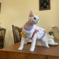Thick Vest With Polka Dot for Devon Rex in Winter Warm Cmfortable Fleece Sweatshirt for Sphinx Cat Sweet Party Costumes for Pet