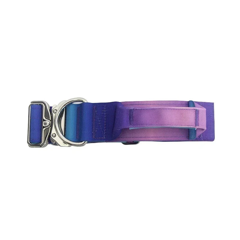 New 5mm Wide Pet Collar Gradual Change Color Traction Set Adjustable Nylon Dog Collar Supplies Medium and Large Dog Accessories