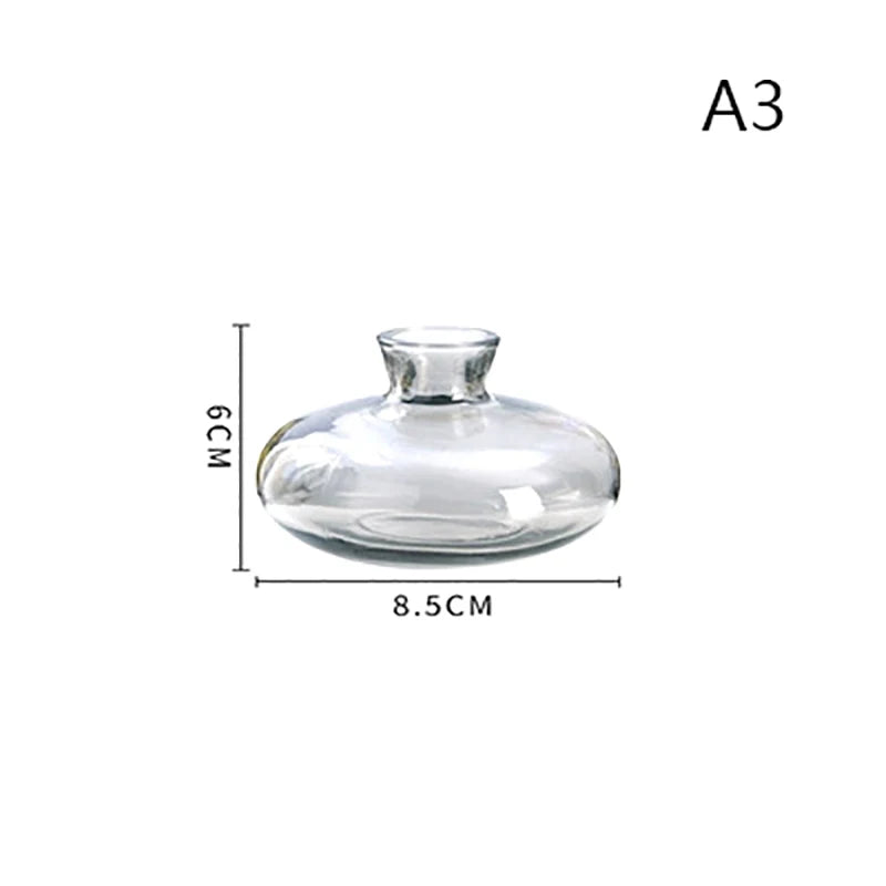 Transparent Glass Vase Avocado Seed Starters Vase Seed Growing Kit Avocado Vase For Growing Gift For Gardening Lovers Home Decor