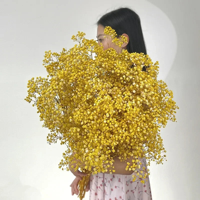100g Dried Flowers Baby Breath Preserved Flowers Gypsophila Bouquet Boho Home Decor Colorful Gypsophile Wedding Party Decoration