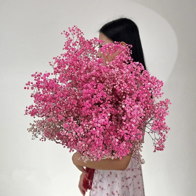 100g Dried Flowers Baby Breath Preserved Flowers Gypsophila Bouquet Boho Home Decor Colorful Gypsophile Wedding Party Decoration