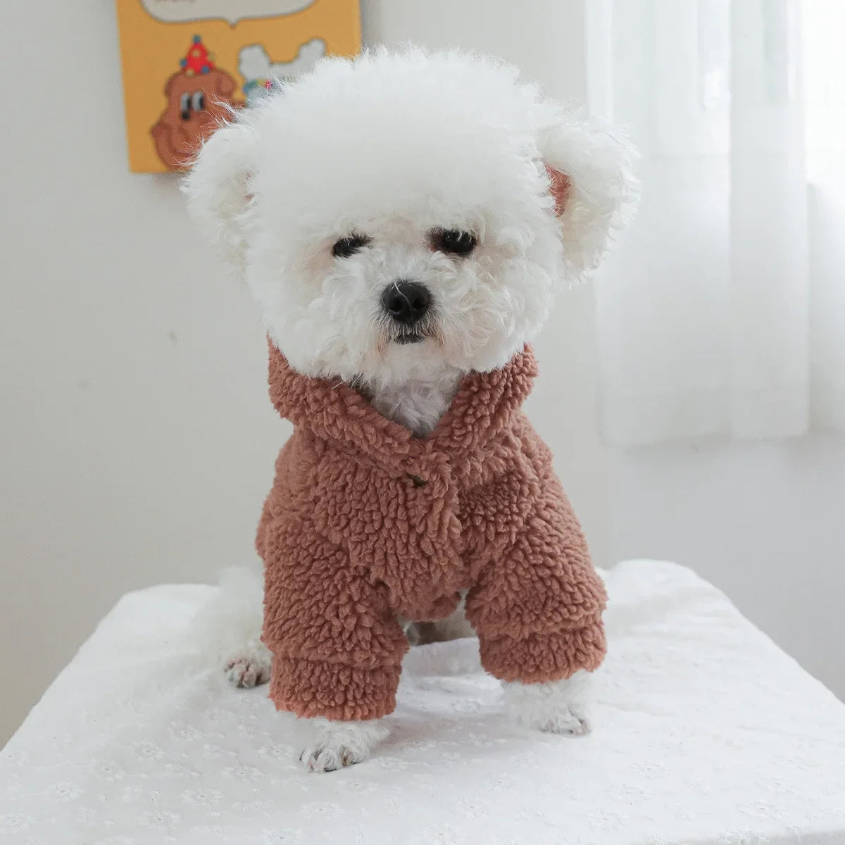 Autumn and Winter Pet Lamb Fleece Hooded Jacket Puppy and Cat Clothes New Models Thick and Warm Letter Hoodie Pet Clothes