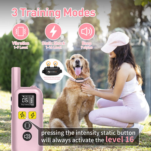 1000M Remote Dog Training Collar Rechargeable Dog Shock Collar With 3 Modes Electric Dog Collar for Small Medium Large Dogs Pink