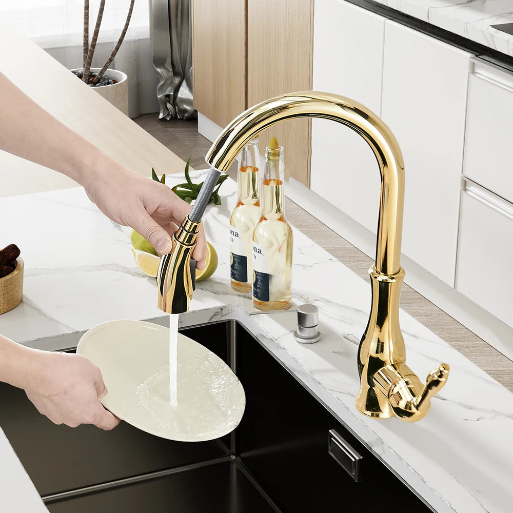 Kitchen Faucets Silver Single Handle Pull Out Kitchen Tap Single Hole Handle Swivel 360 Degree Water Mixer Tap Mixer Tap 866011