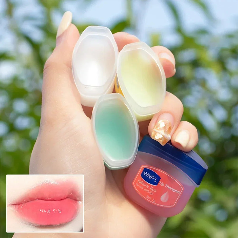 4/6/8pcs Moisturizing Lip Balm Sets Lipstick Makeup Natural Plant Base Moisturizer Lip Balm Anti-Cracking Lips Skin Care