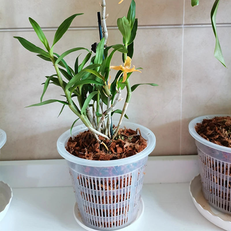 Transparent Root Control Pot Orchid Moss Phalaenopsis Flower Pot Plastic Breathable Hollow Flower Pot for Household