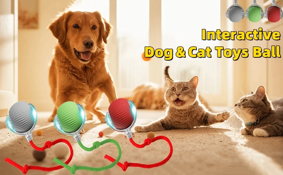 Dog Cat Interactive Ball Toy Automatic Rolling Ball Faux Tail Rechargeable Smart Pet Electric Toy Dog Cat Training Imitate Mouse