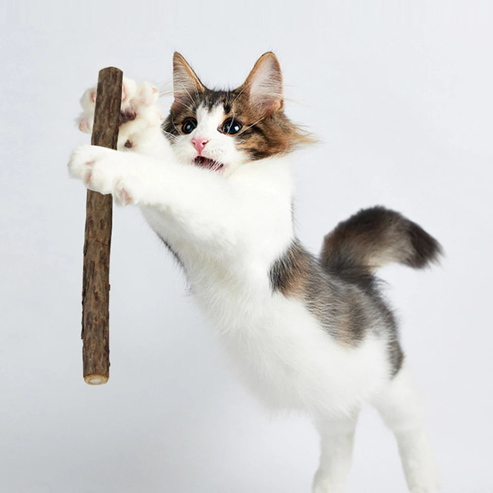 10Pcs/15Pcs/20Pcs Cat-Snack Polygonum Natural Polygonum Stick Molar Stick Thin Rod Polygonum Pet Supple