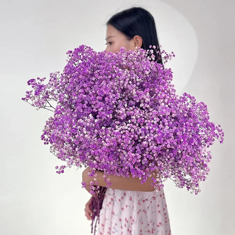 100g Dried Flowers Baby Breath Preserved Flowers Gypsophila Bouquet Boho Home Decor Colorful Gypsophile Wedding Party Decoration