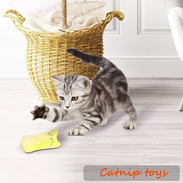 Catnip Cat Pillow Toy - Funny Pet Chew Claw Molar Toy for Kittens - Soft Cute Interactive Plaything