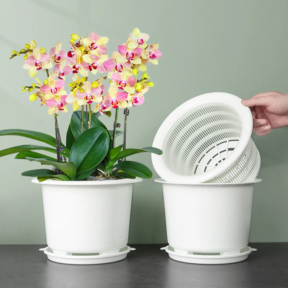 Meshpot 20cm Plastic Orchid Pot Flower Pot Garden Pot Planter Holder Home Decor,Enhance Root Quantity and Activity Good air