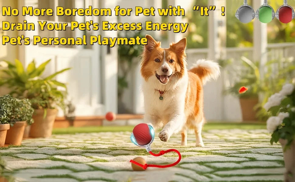 Dog Cat Interactive Ball Toy Automatic Rolling Ball Faux Tail Rechargeable Smart Pet Electric Toy Dog Cat Training Imitate Mouse