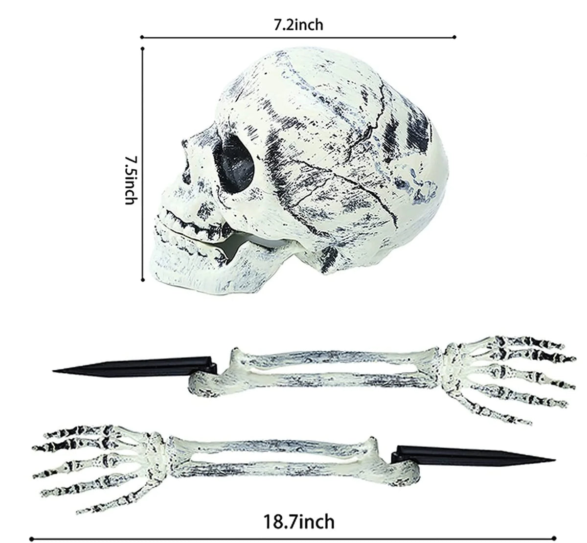 Halloween Realistic Skull Skeleton Head Human Hand Arms for