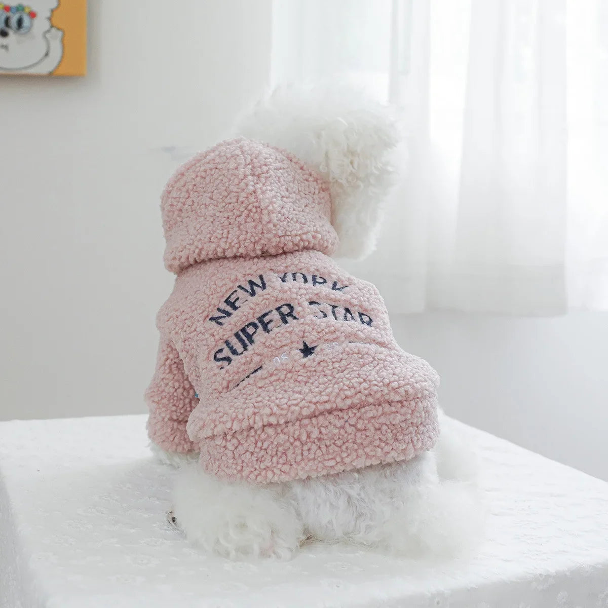 Autumn and Winter Pet Lamb Fleece Hooded Jacket Puppy and Cat Clothes New Models Thick and Warm Letter Hoodie Pet Clothes