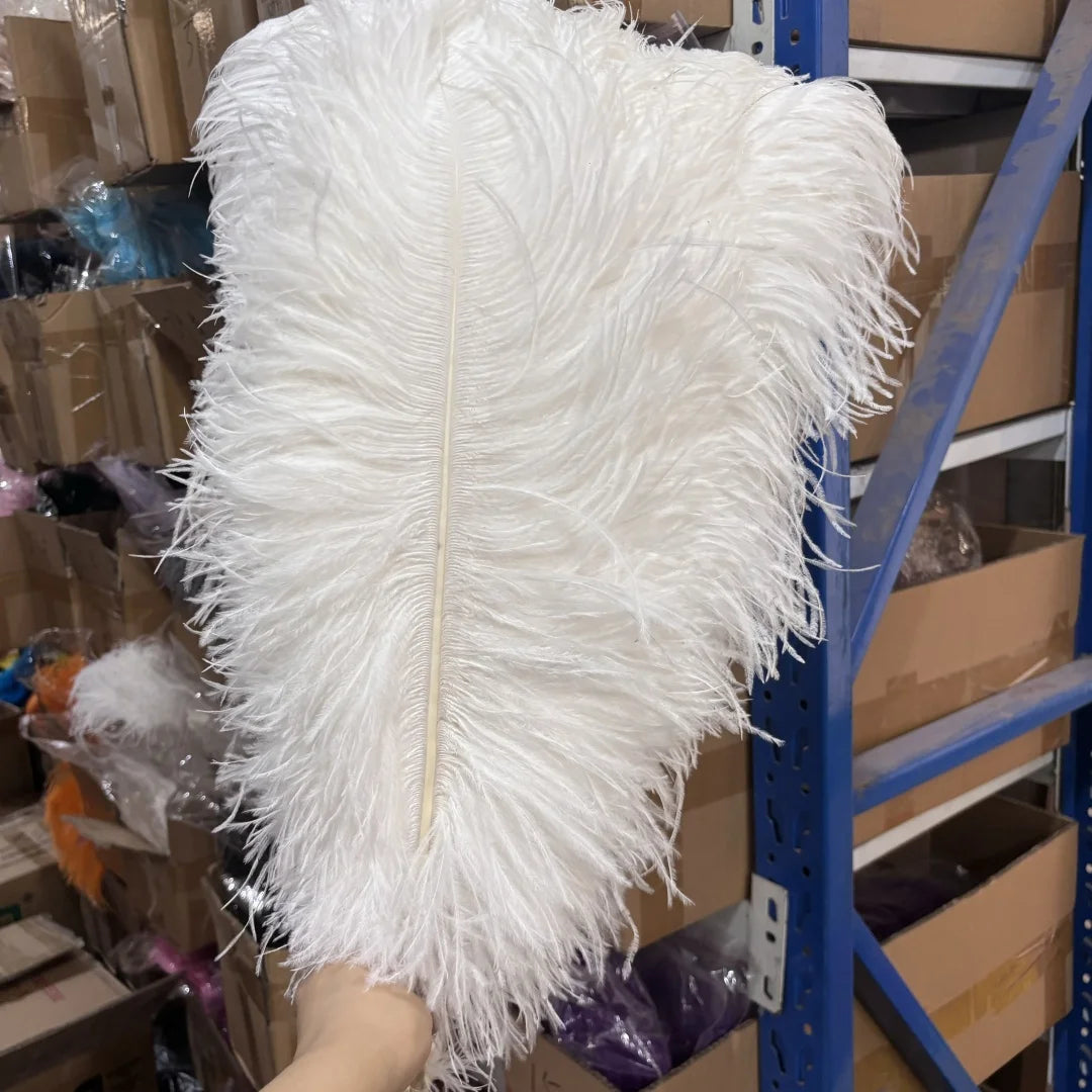 10PCS/Lot White Ostrich Feathers Plume for Wedding Table Centerpieces Carnival Prime Decor  45-50CM 55-60CM Ostrich Plumas Large