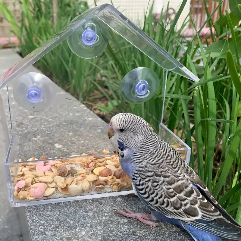 Acrylic Bird Feeder Clear Window Outside Hanging Bird Feeder House with Suction Cup for Garden Outdoor Backyard Wildlife Birding
