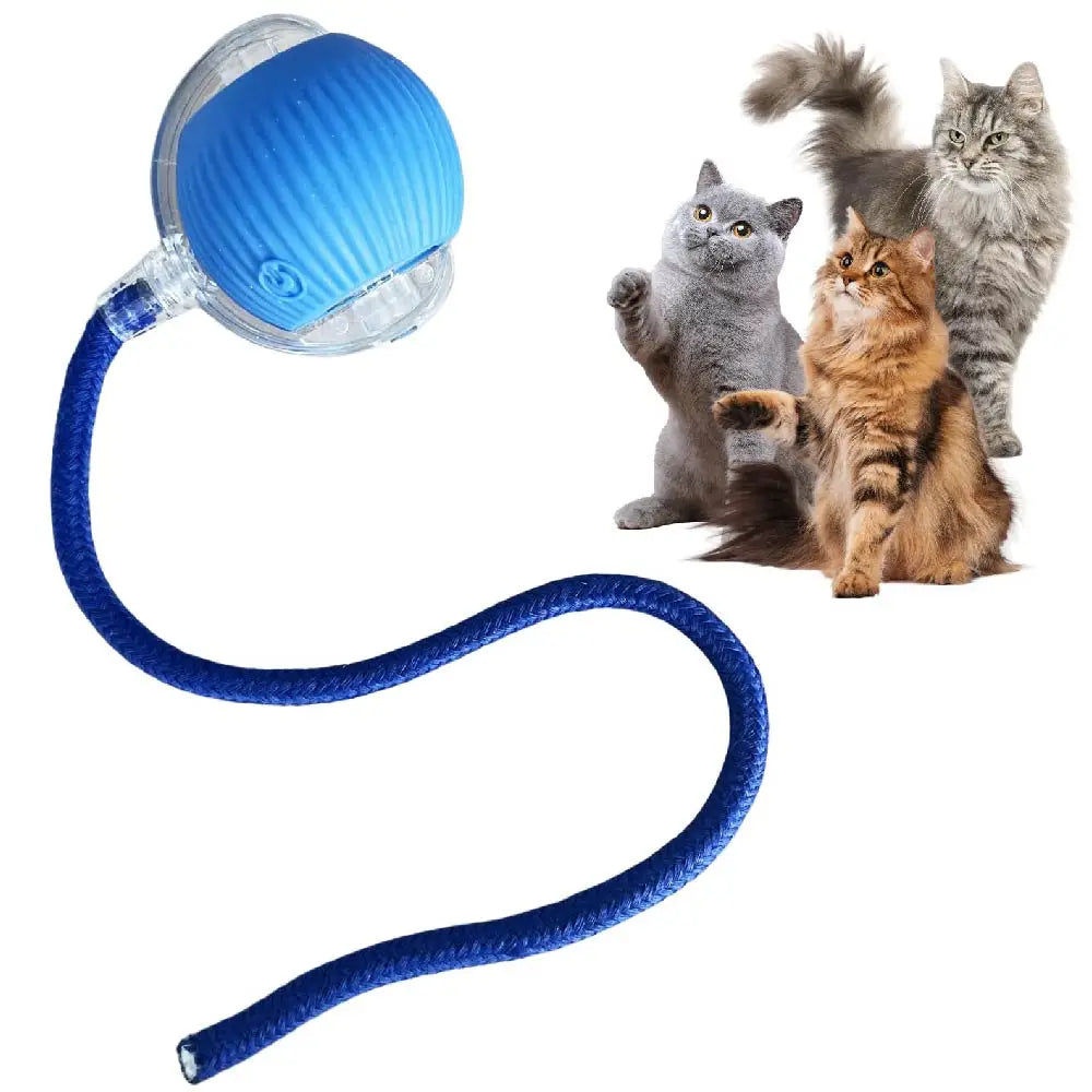 Interactive Dog Cat Toy Ball, Automatic Moving Bouncing Rolling, Pet Smart Chase Ball Rechargeable, Enrichment Toys