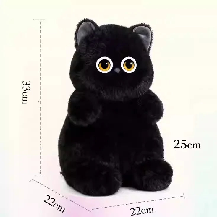 Ainewbot Aoomii AI Smart Robot Companion Long-Term Memory