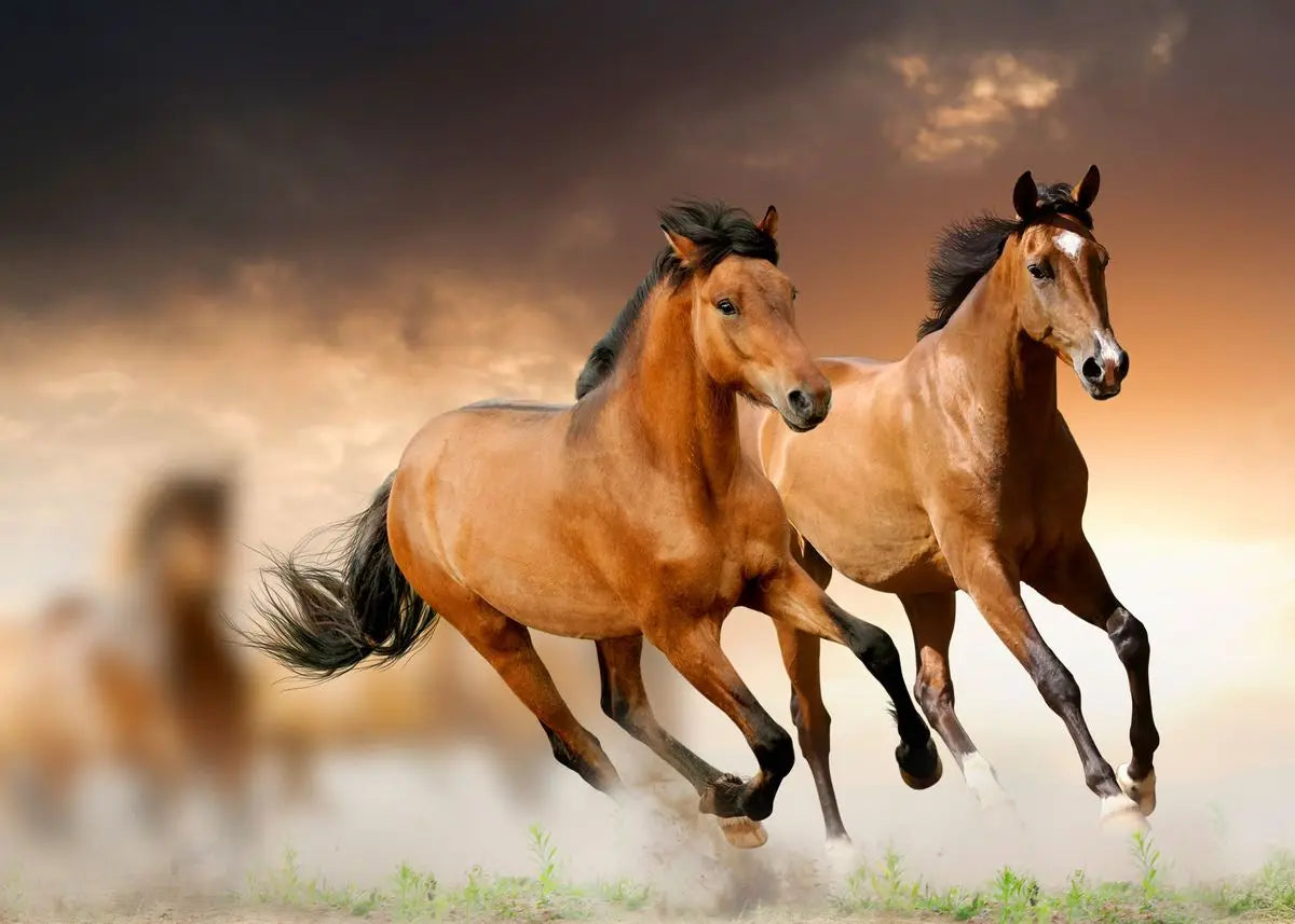 Handsome Horse Watercolor Painting Canvas Poster Animals Wall Art Pictures for Living Room Bedroom Playroom Modern Home Decor