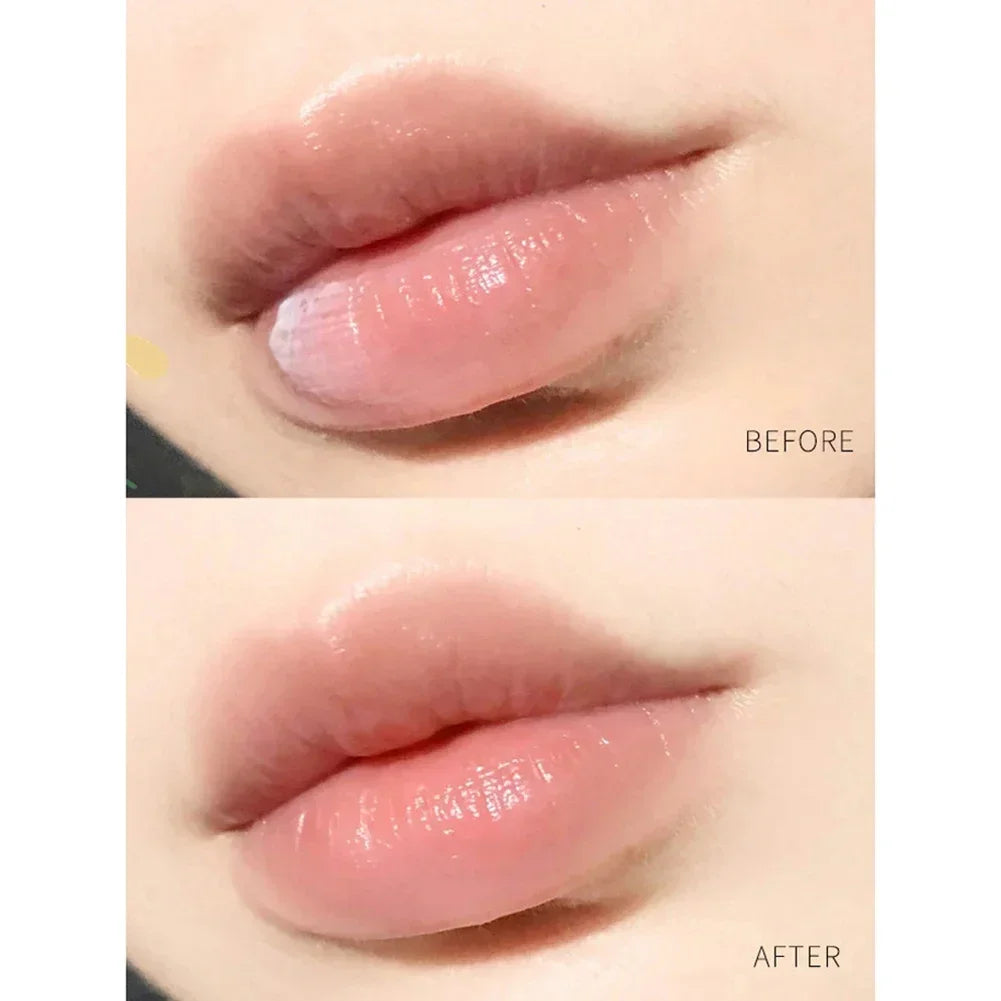 4/6/8pcs Moisturizing Lip Balm Sets Lipstick Makeup Natural Plant Base Moisturizer Lip Balm Anti-Cracking Lips Skin Care