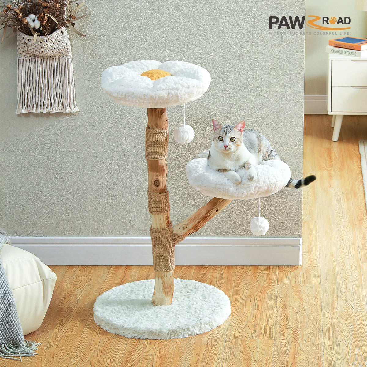 Modern Cat Tree Tower with Natural Solid Wood Scratching