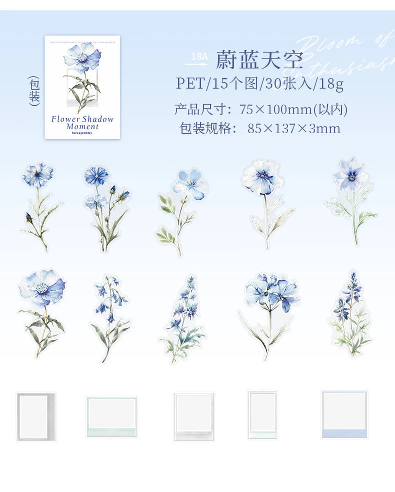 30 pcs film and Flowers Plant Stickers pack Creativity PET Decorative Sticker for DIY Diary Scrapbooking Junk Journal Supplies