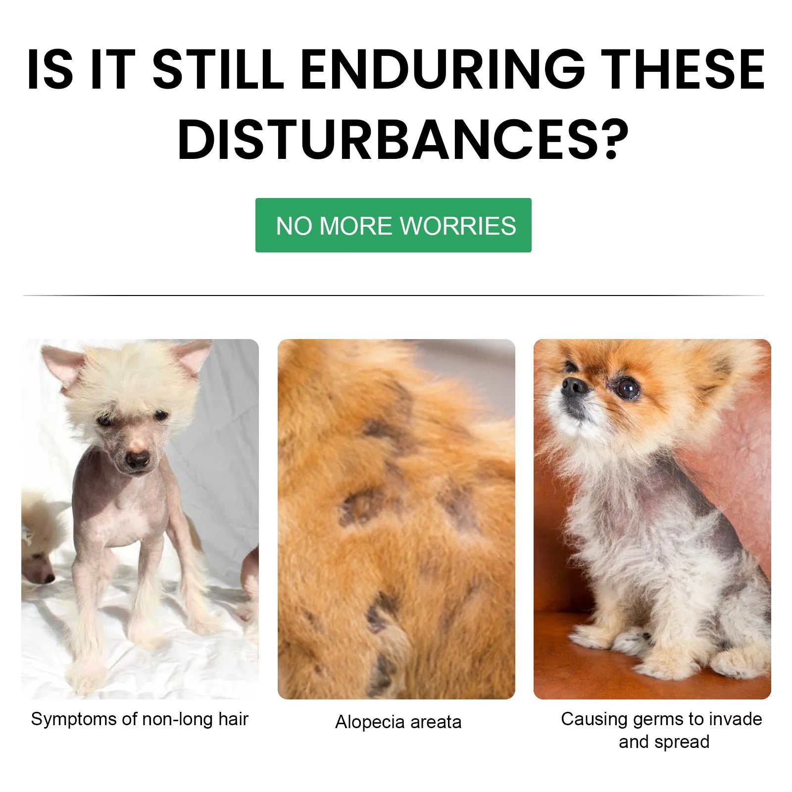Pet hair enhancer cat and dog hair conditioning and repair damaged hair follicles hair loss care spray