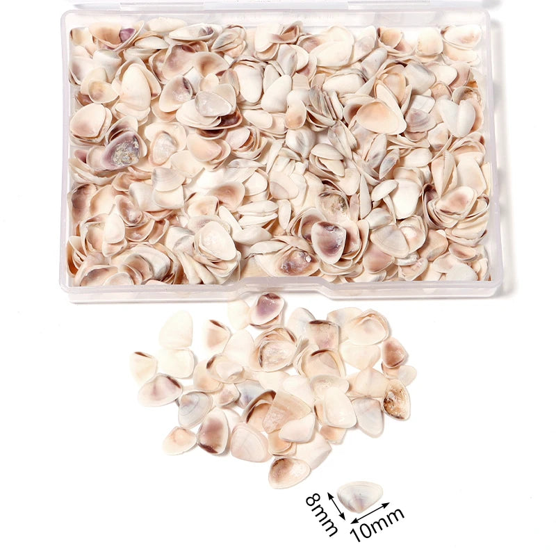 1 Box Sea Shell Spiral Shell Tiny Ocean Spiral Seashell Conch Crafts Aquarium Decoration Landscaping Accessory Photography Props