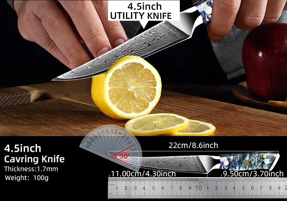 Damascus Knife Chef Knife Japanes VG10 67 Layer Steel Cleaver Paring Bread Knife Lasting Sharp Abalone Shell Handle Kitchen Gift