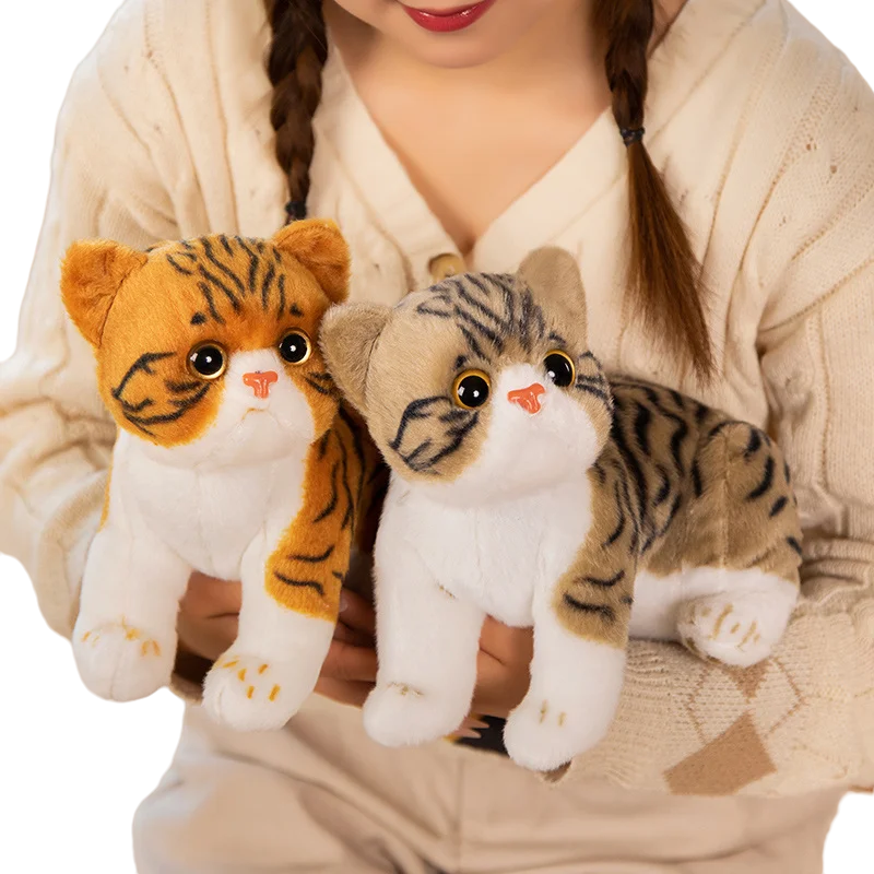 Super Likfelike Fat Face Cat Plushie Stuffed Apple Face Tiger Patterned Kitten Simulated Animals Home Decor Gift for Boy Kids